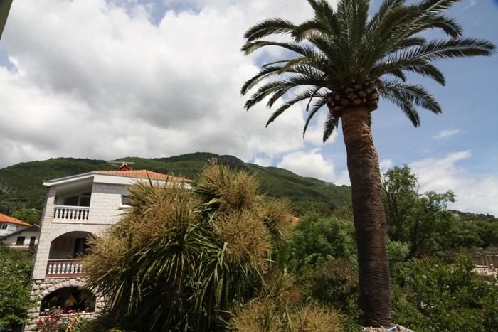 Апартаменты Apartments Roza Херцег-Нови