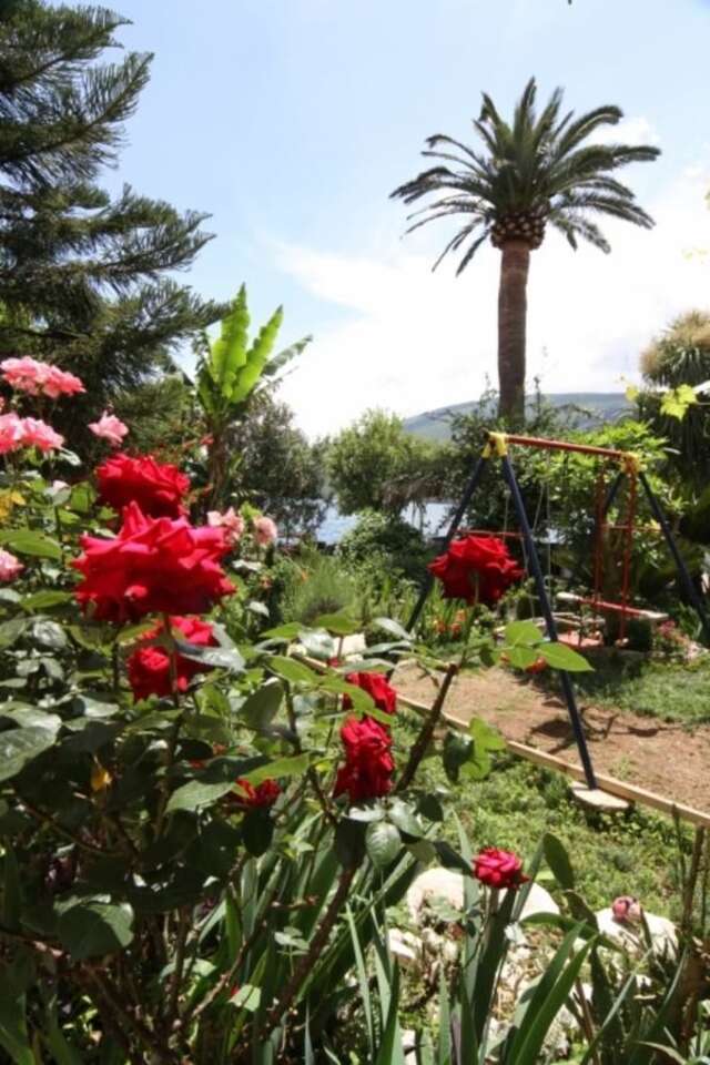 Апартаменты Apartments Roza Херцег-Нови-18